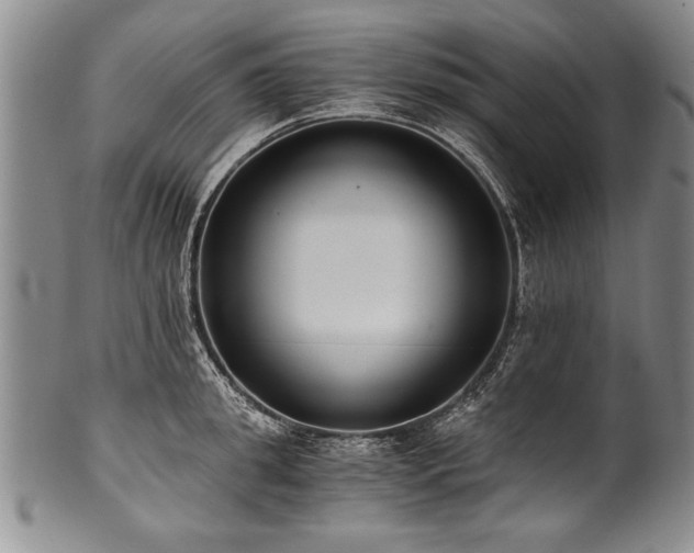 X0000101110949200806261409