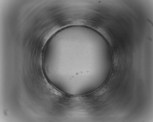 X0000101110950200806261409