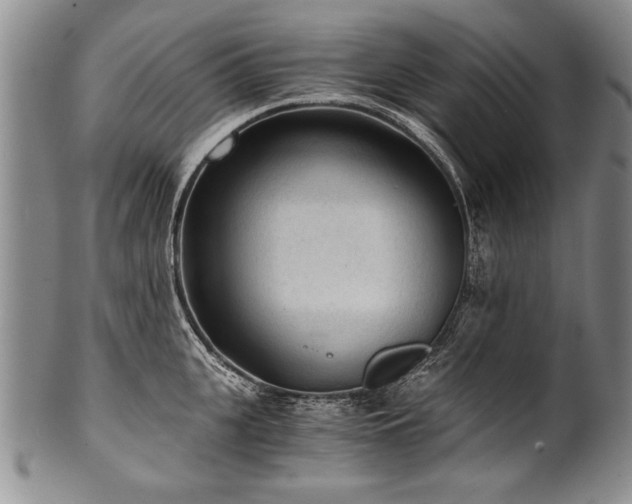 X0000101110951200806261409