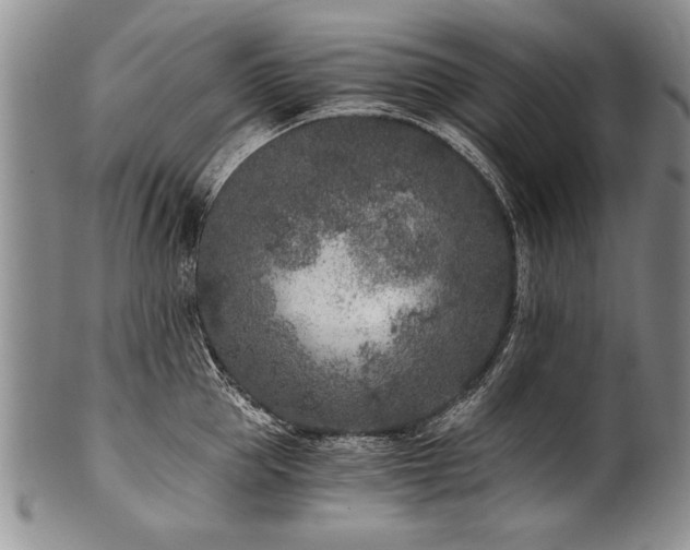 X0000101110953200806261409