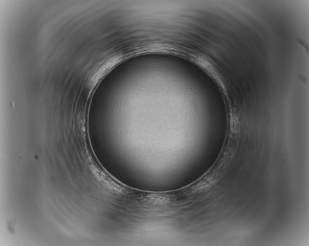 X0000101110954200806261409