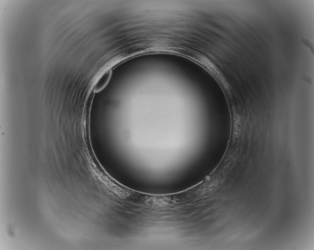 X0000101110955200806261409