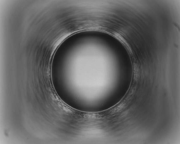 X0000101110956200806261409