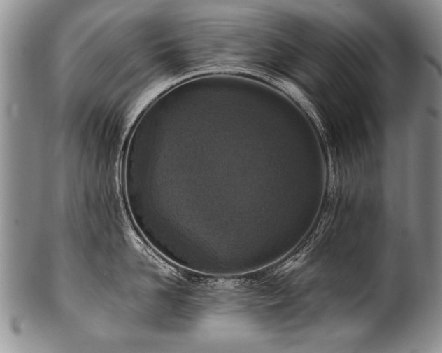 X0000101110958200806261409