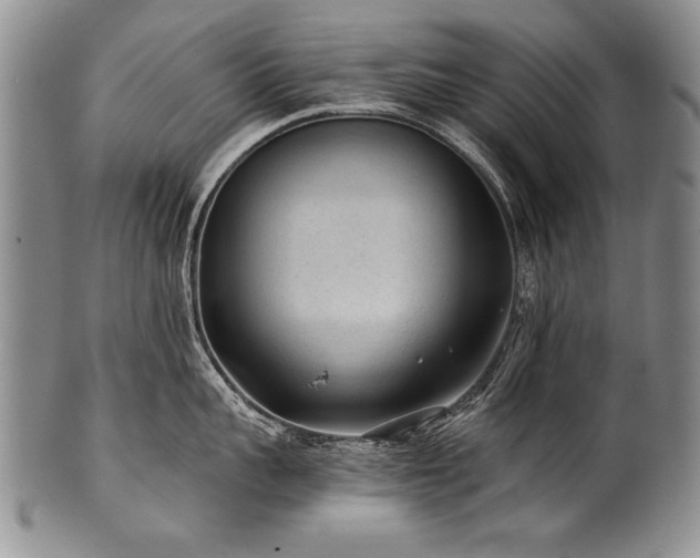 X0000101110959200806261409