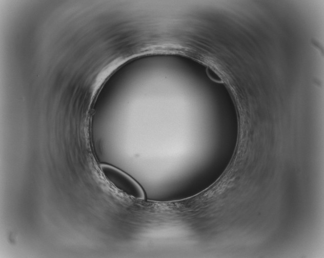 X0000101110960200806261409