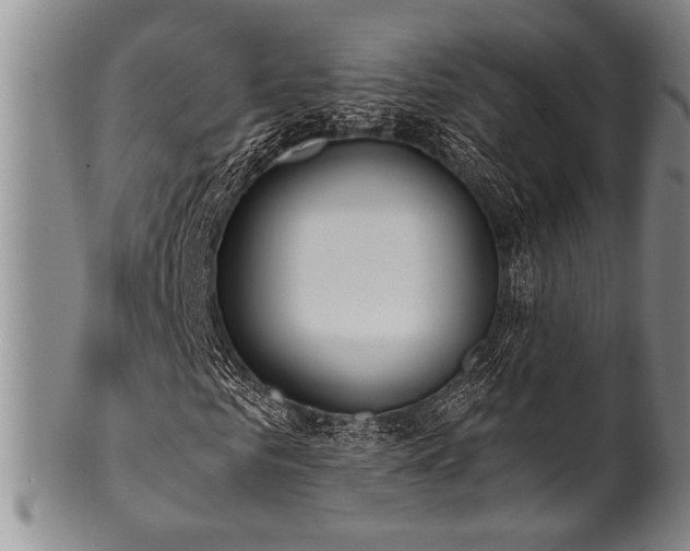 X0000101110961200806261409