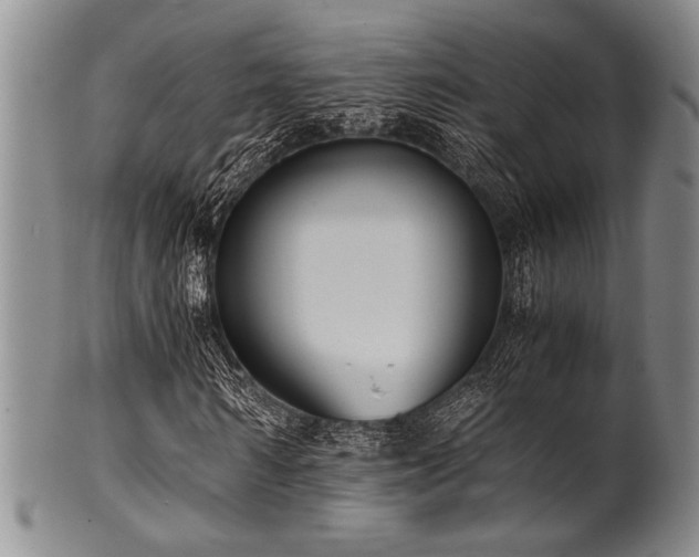 X0000101110962200806261409
