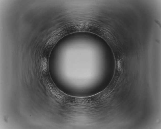 X0000101110963200806261409