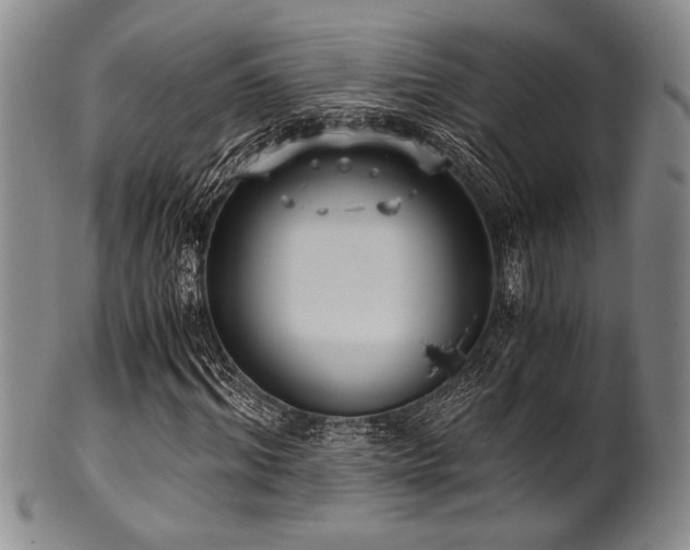 X0000101110964200806261408