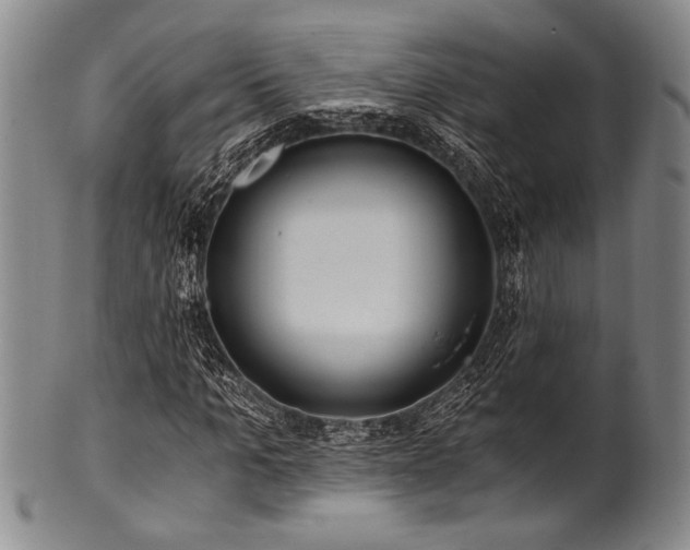 X0000101110965200806261408