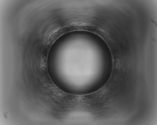 X0000101110966200806261408