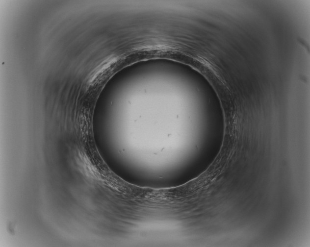 X0000101110967200806261408
