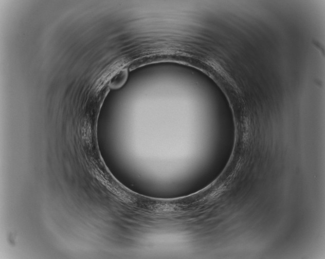 X0000101110969200806261408