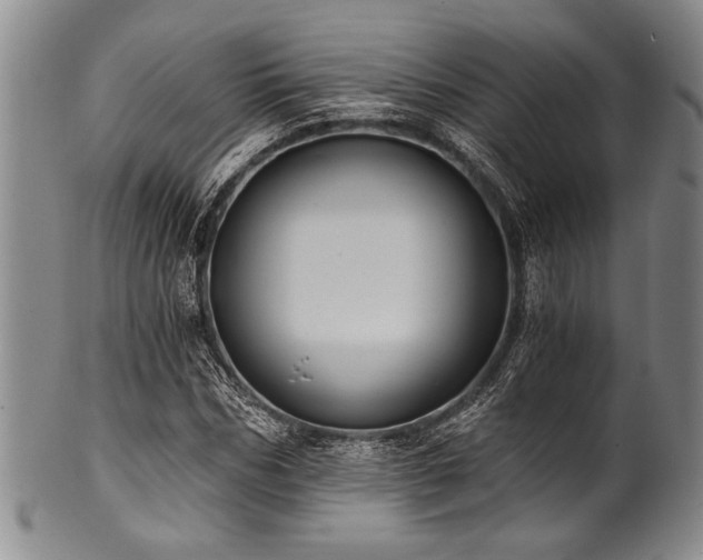 X0000101110970200806261408