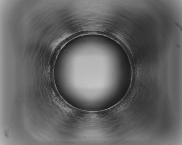 X0000101110971200806261408