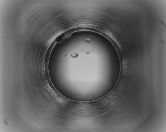 X0000101110972200806261408