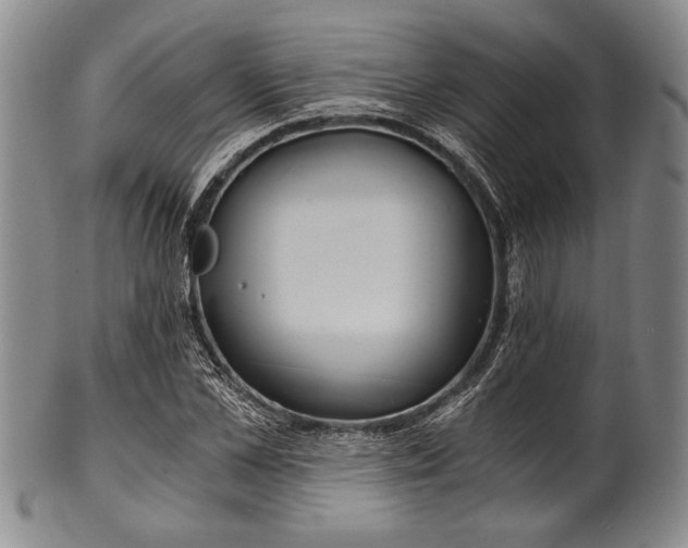 X0000101110973200806261408