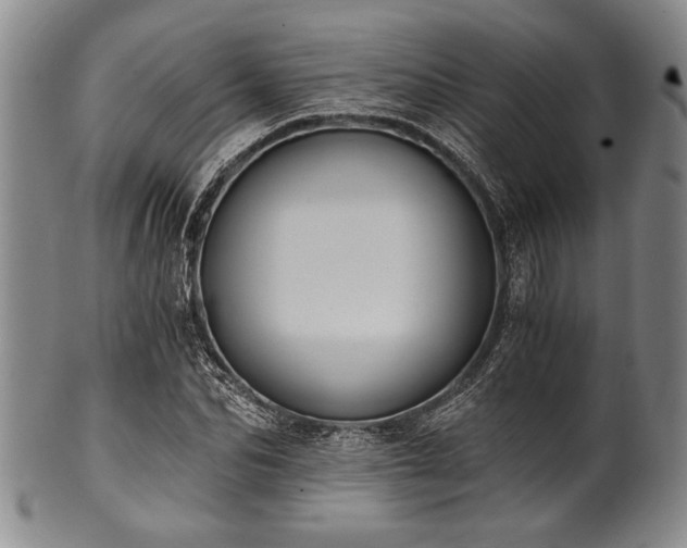 X0000101110974200806261408