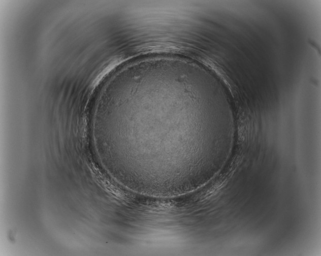 X0000101110975200806261408