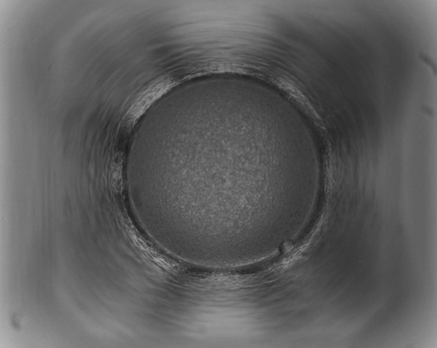 X0000101110977200806261408
