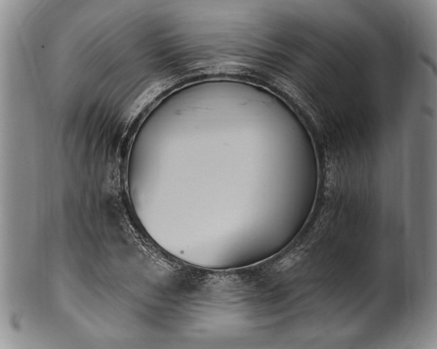 X0000101110978200806261408
