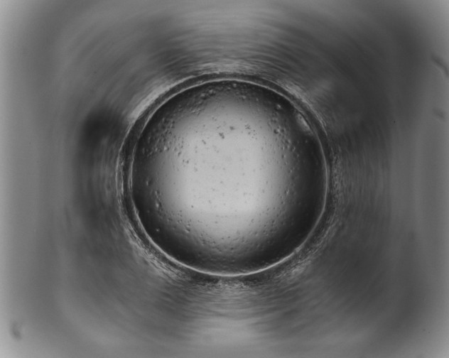 X0000101110983200806261408
