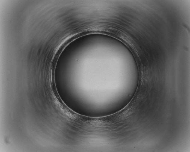 X0000101110984200806261408