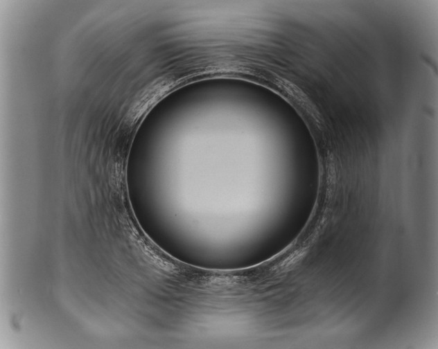X0000101110985200806261408