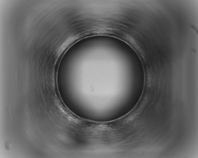 X0000101110986200806261408