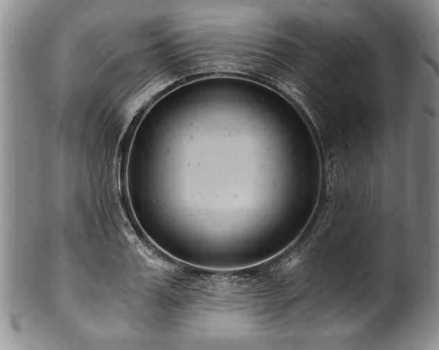 X0000101110987200806261408