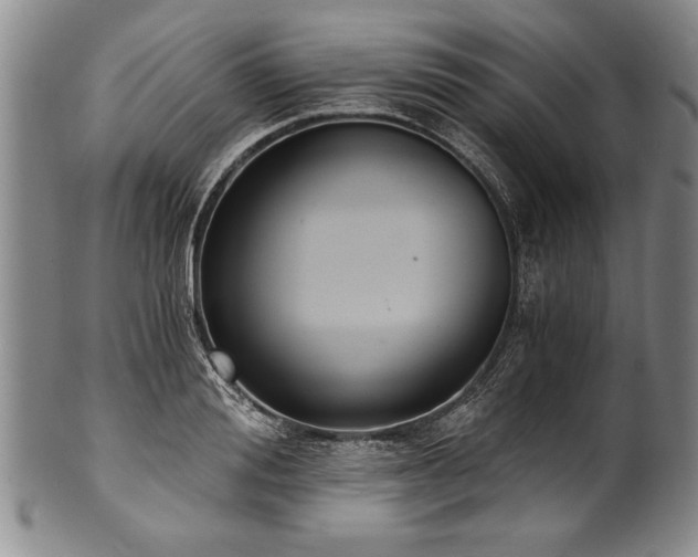 X0000101110988200806261408