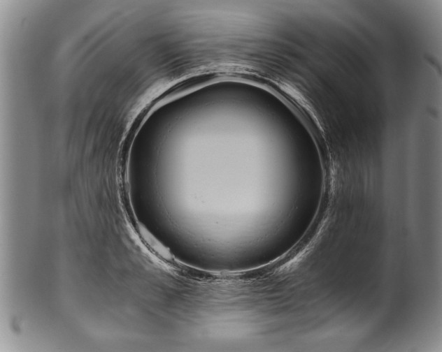 X0000101110989200806261408