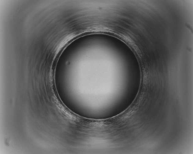 X0000101110990200806261408