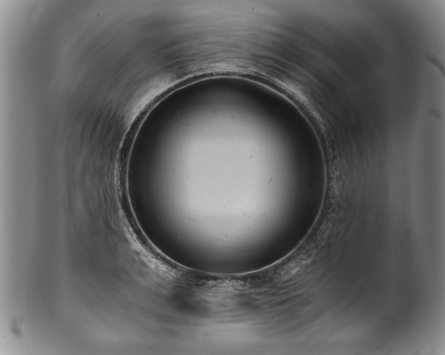 X0000101110991200806261408