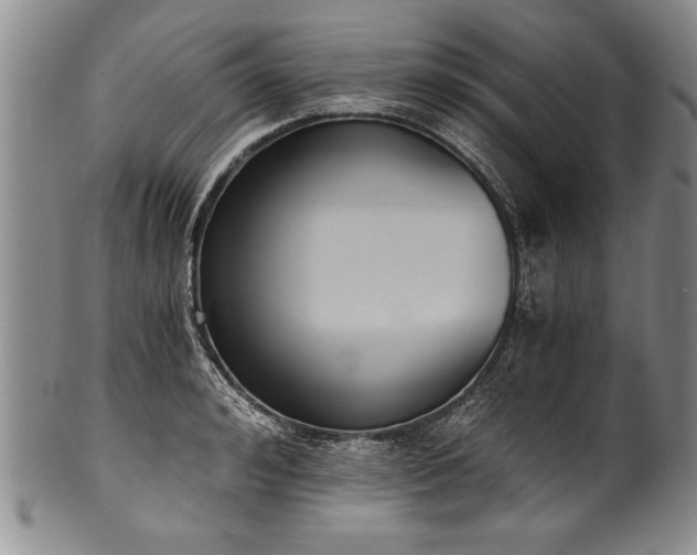 X0000101110992200806261408