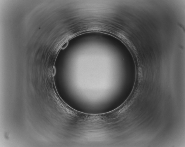 X0000101110993200806261408