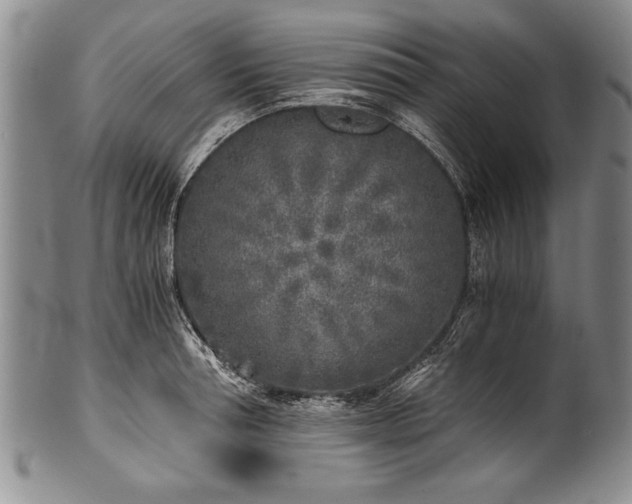X0000101110994200806261408