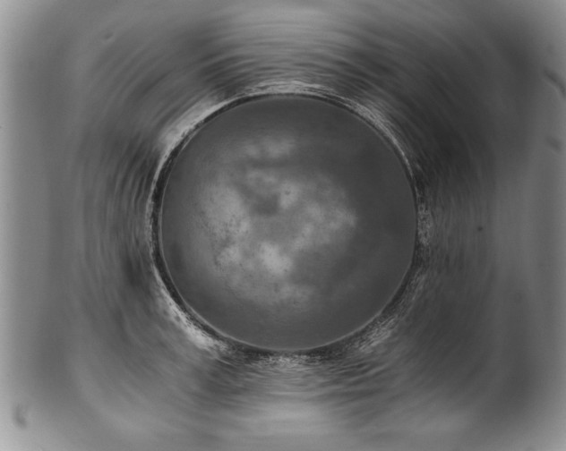 X0000101110995200806261408