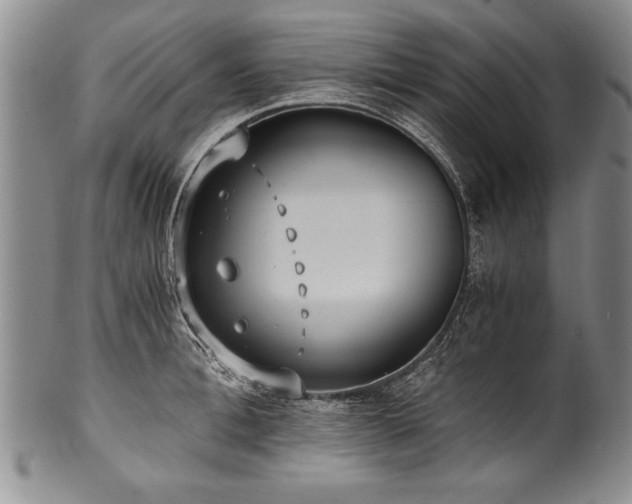 X0000101110996200806261408