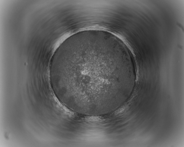 X0000101110998200806261408
