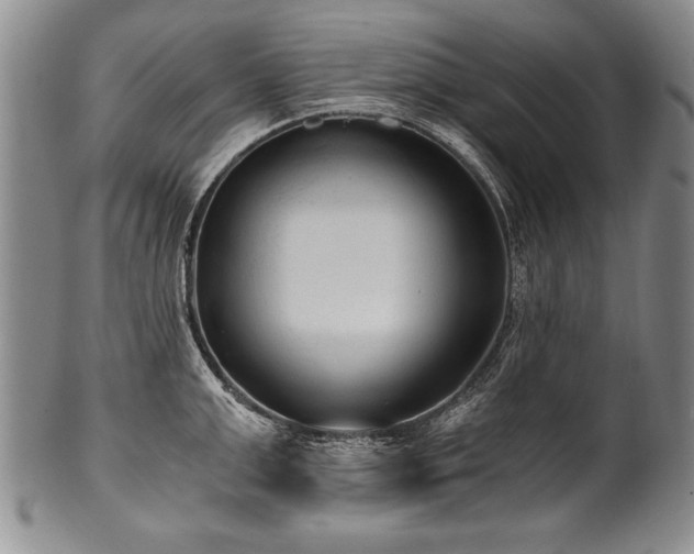 X0000101110999200806261408