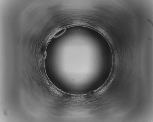 X0000101111001200806261408