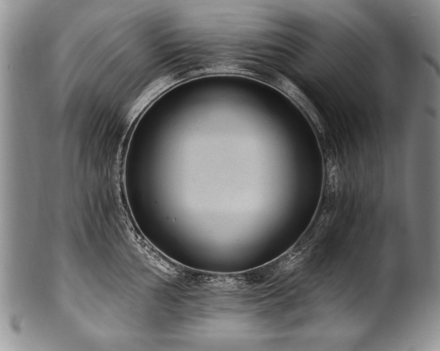 X0000101111002200806261408