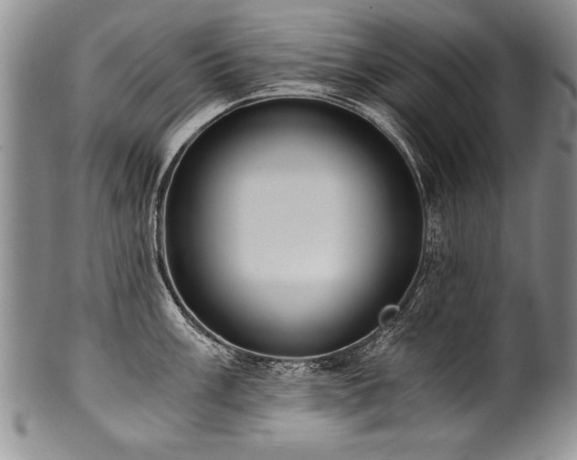 X0000101111003200806261408