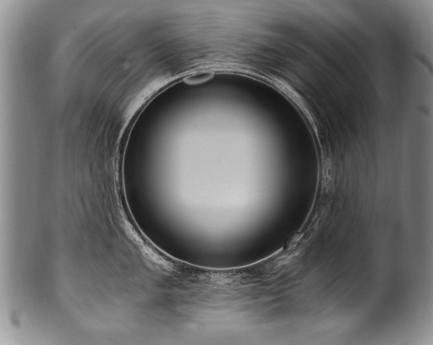 X0000101111005200806261408
