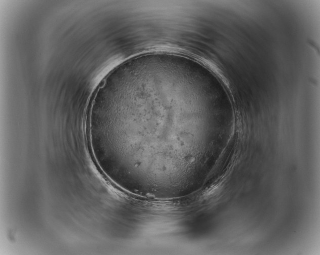 X0000101111007200806261408