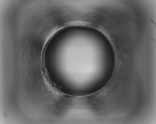 X0000101111008200806261408