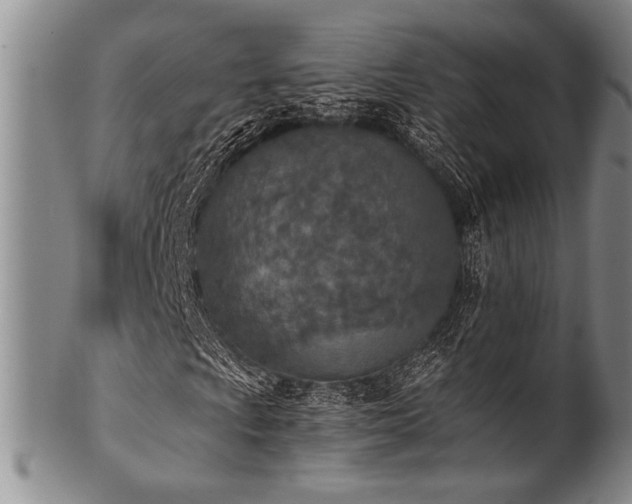 X0000101111009200806261407