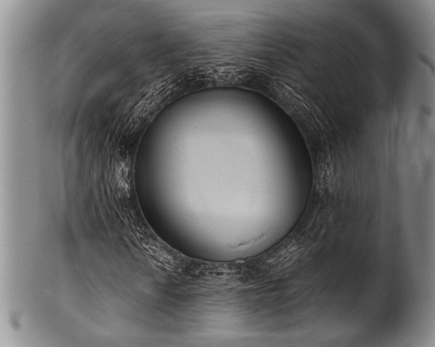 X0000101111010200806261407